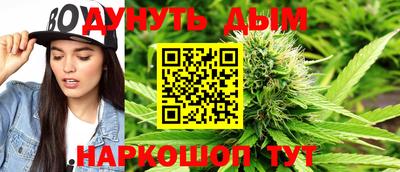 тгк Новодвинск