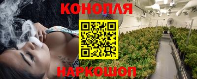 хмурый Новокубанск